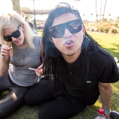 Skrillex feat. Ellie Goulding - Because