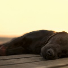 Wake Me Up (italo Roldo Remix)