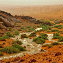 البر للعاني حلا ،، أبو علي موسى العميرة