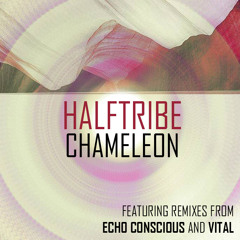 Echo Conscious By Bru