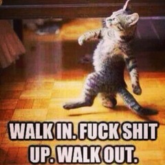 Walk In. Fuck Shit Up! Walk Out.
