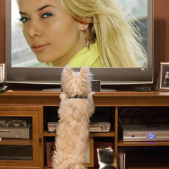 Affetmem Yalnızlığımı - FUNDA(Gülşah Gayret)