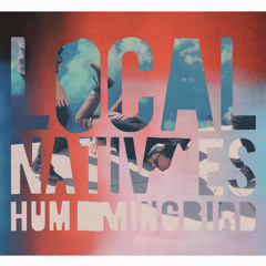 Local Natives - Bowery (Nobody Knows Rmx) FREE DOWNLOAD