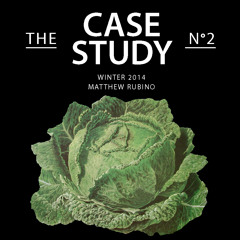 Winter 2014: The Case Study No. 2