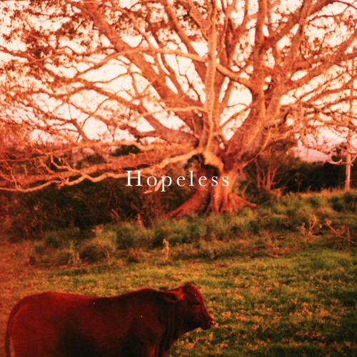 Hopeless