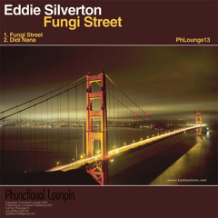 Eddie Silverton - Didi Nana - Phunctional Loungin