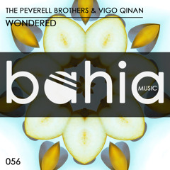 The Peverell Brothers & Vigo Qinan - Wondered (Original Mix)