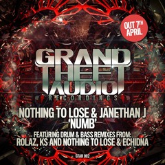 Nothing To Lose Ft Janethan J - Numb (Rolaz Remix)