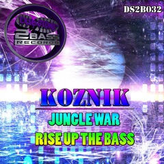 DS2B032 - KOZNIK - RISE UP THE BASS - DROPS FEB 21ST 2014