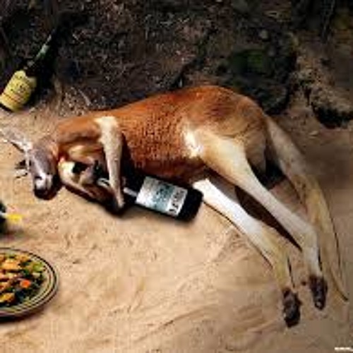 OFF 23   (E) - Kangaroo Anthony - 220 BPM