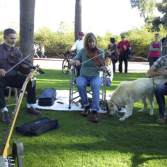 Bonaparte Crossing The Rhine - OT Jam Balboa Park, San Diego 2-16-14.  Friends from Idaho joined us.