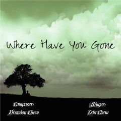 Where Have You Gone