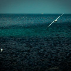 SiJ & Lya - The Sea Inside Everyone (Second Version)