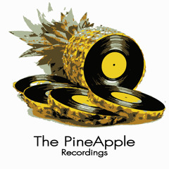 The PineApple Recordings - You've been away too long