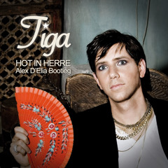 Tiga - Hot In Herre - (ALEX D'ELIA BOOTLEG) FREE DOWNLOAD