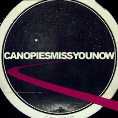 CANOPIES - Miss You Now