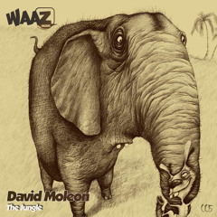 David Moleon - Heat Zippers