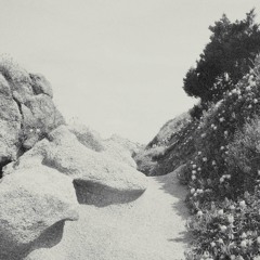 Tilman - "Mild Western EP" - Tenderpark 015