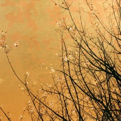 Kintsukuroi (Mending With Gold) (Collab. with Kris)