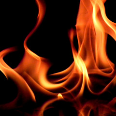 All Is Not Lost - Bleeding Fingers Contest