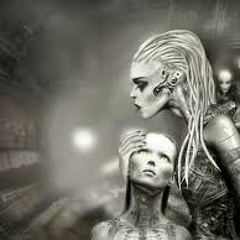 Story23