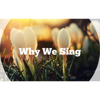 Kirk Franklin - Why We Sing - @MsPabii Cover