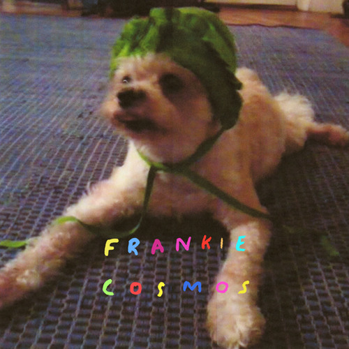 Frankie Cosmos :: My I Love You