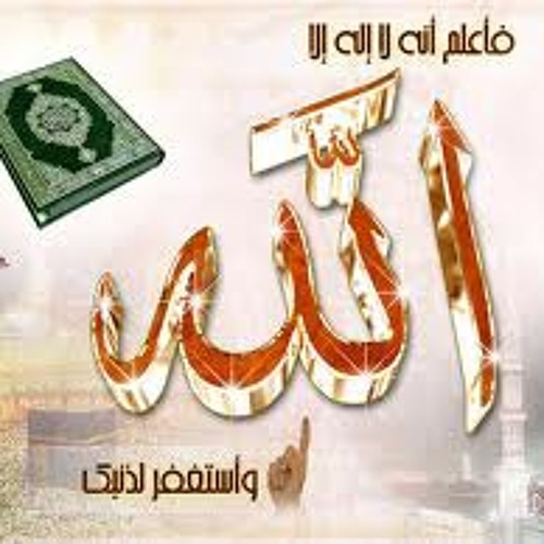 اجمل المقاطع