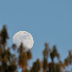 Moonrise