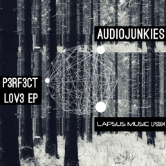 Audio Junkies - Pipeline - Original (Lapsus Music)