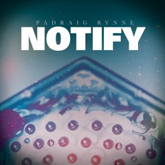 Will I Won't by Notify