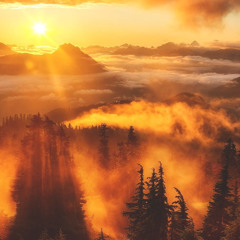 TheNewWine- Crème ($80)