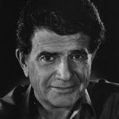 محمد رضا شجریان - دل شدگان -  پاسبان حرم دل