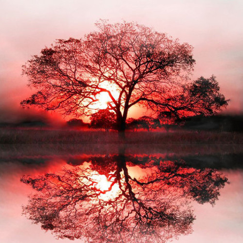 Some Of My Favorite Atmospheric D&B Tracks