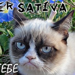 OLIVER SATIVA - GRUSTNO TEBE