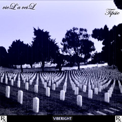"Viberight" - vieL'a veiL ft. Tipsie
