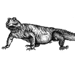Dub Lizard Podcast // 01