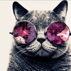 Next Dimension shades