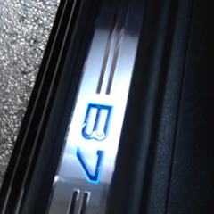 Honor Roll Freestyle