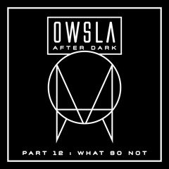 OWSLA After Dark Part 12: What So Not [BBC 1Xtra - Mistajam Daily Does]