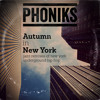 Ak Skills - Check Da Flava (Phoniks Remix) Intro to my NEW mixtape Autumn in New York