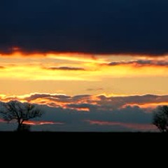 The Prairie - Bleeding Fingers Contest
