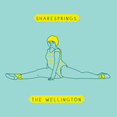 The Wellington - Someone Knock On My Door