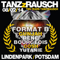 Format:B @ 10 Jahre TANZzRAUSCH 08.02.14 Lindenpark Potsdam