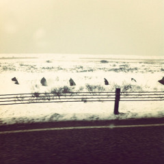 I Morgen Kommer Regn