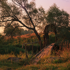 Coldplay- X&Y (Female Cover)