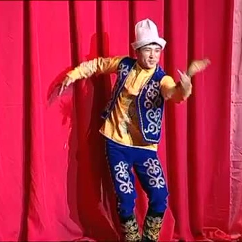 Кара жорга киргизов