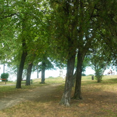 Stay a little longer