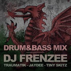 DJ FRENZEE MRTRAUMATIK JAYDEE TINYSKITZ DRUM&BASS MIX