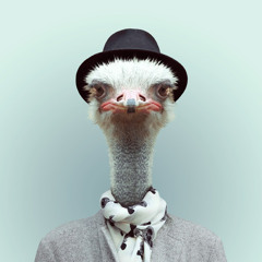 Hipstruche Mix